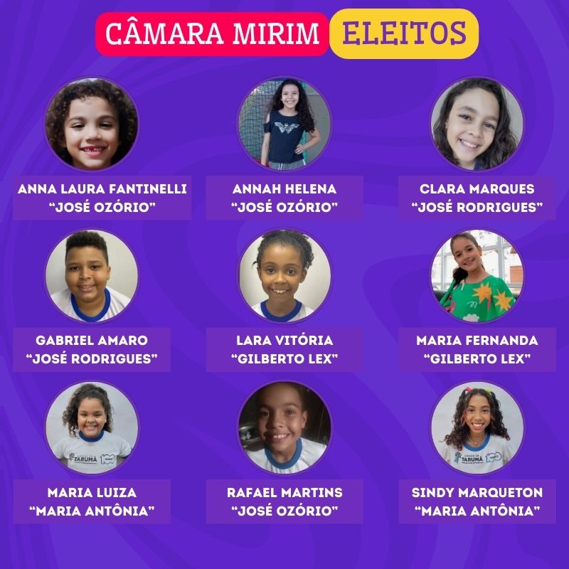 ELEITOS CAMARA MIRIM